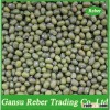 Green Mung Beans