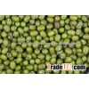 Hot sales Cheap Mung Beans in the market
