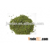 High quality green mung bean