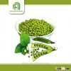 Good quality green mung beans for sale