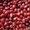 small red bean/adzuki bean (organic )