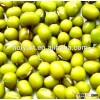 Hot sale mung bean production