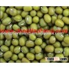 Green Mung Bean