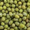 Green Mung