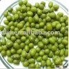 New Crop Chinese Small Green Mung Bean