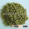 Mung Beans