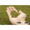 100%Natural Green Mung Beans from Vietnam