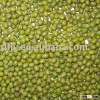 Green Mung Beans Crop 2013 For Sprouting