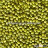 NOP organic mung bean