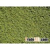High quality green mung bean