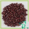 Azuki Beans,Azuki Bean,Adzuki Bean,Adzuki Beans