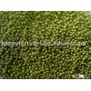 kidney bean green mung bean canned bean long purple speckled kidney bean dongbei bean pulsesLarge wh