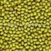 Green Mung Bean