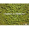 export green mung beans