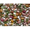 Dry Pinto Bean, black turtle beans, Green mung bean, Red Kidney Beans, Moth Beans, Cowpea Beans