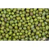 GREEN MUNG BEANS,VAGNA BEANS, KIDNEY BEANS , CHICKPEAS, SOYBEANS ETC