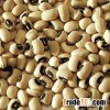 BLACK EYE BEANS - COWPEA