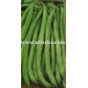 Green Beans