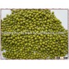 kidney bean green mung bean canned bean long purple speckled kidney bean dongbei bean pulsesLarge wh