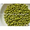 green mung beans mung beans