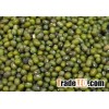 Mung vigna beans