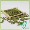 Wholesale Chinese Green Mung Beans
