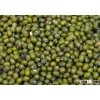 Green Mung Beans New Crop