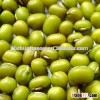 yellow mung bean