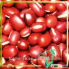 2013 Crop Dried Vigna Bean Azuki Beans / Cheap Azuki Beans For Sale Wholesales Bean Products