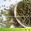 High Quality Green Mung Bean For Sale