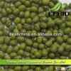 Chinese Mung Green Beans