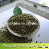 New Crop Green Mung Beans Hot Sale