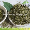 2014 New Crop Green Mung Beans, High Quality Beans