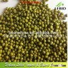 2014 Crop Green Mung Bean for Sprouting