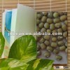 Hot sale,Small green mung bean for sprouting,2012 new crop