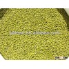 2013 Green Mung Beans / Green Gram (Vigna radiata)