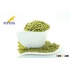 2015 High Quality green mung bean