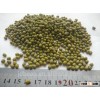 Organic Green mung beans high quality