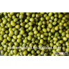 Exported to EU green mung bean