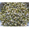 2015crop superior quality Sprouting Green moong beans 3.6--4.5mm