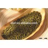 Organic Green Mung Bean with Best Price