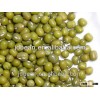 2015 Cheap Mung Beans For Sprouting; Green Mung Beans China Wholesales