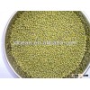 NEW mung beans/green beans/beans (Vigna radiata)