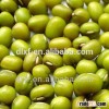 Green mung bean with good quality