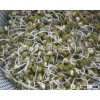 Green Mung Bean For Sprouting up 2.8mm New Type