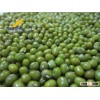 Green Mung Bean for Sprout