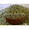 MC Green Mung Bean China Origin For Sprouts