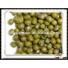 high quality MC Green Mung Bean with competitive price