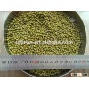 sprouting grade Green mung beans for sale