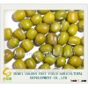 Sprouting New Crop High Quality Green Mung Beans